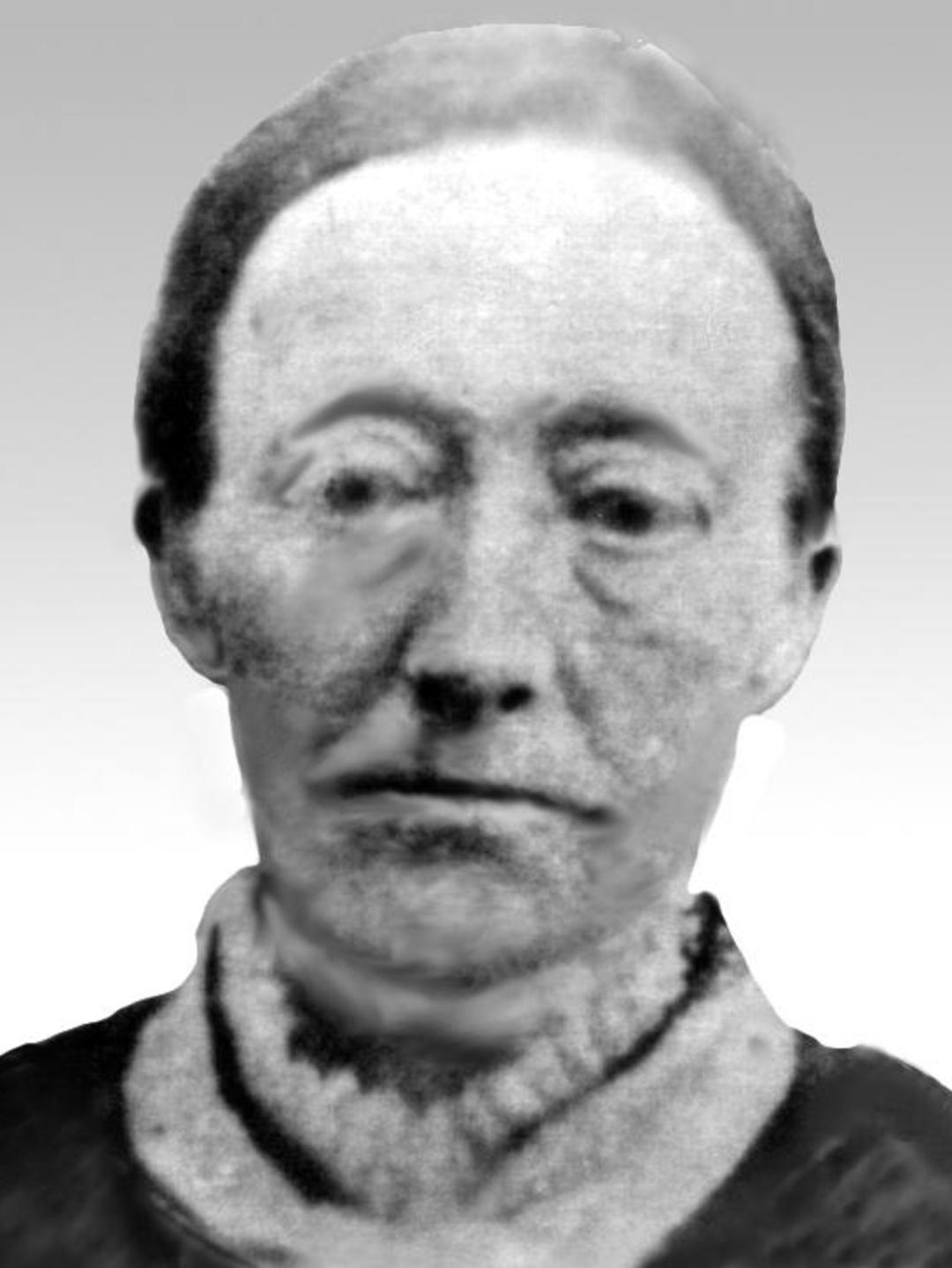 Harriet Chapin (1828 - 1883) Profile